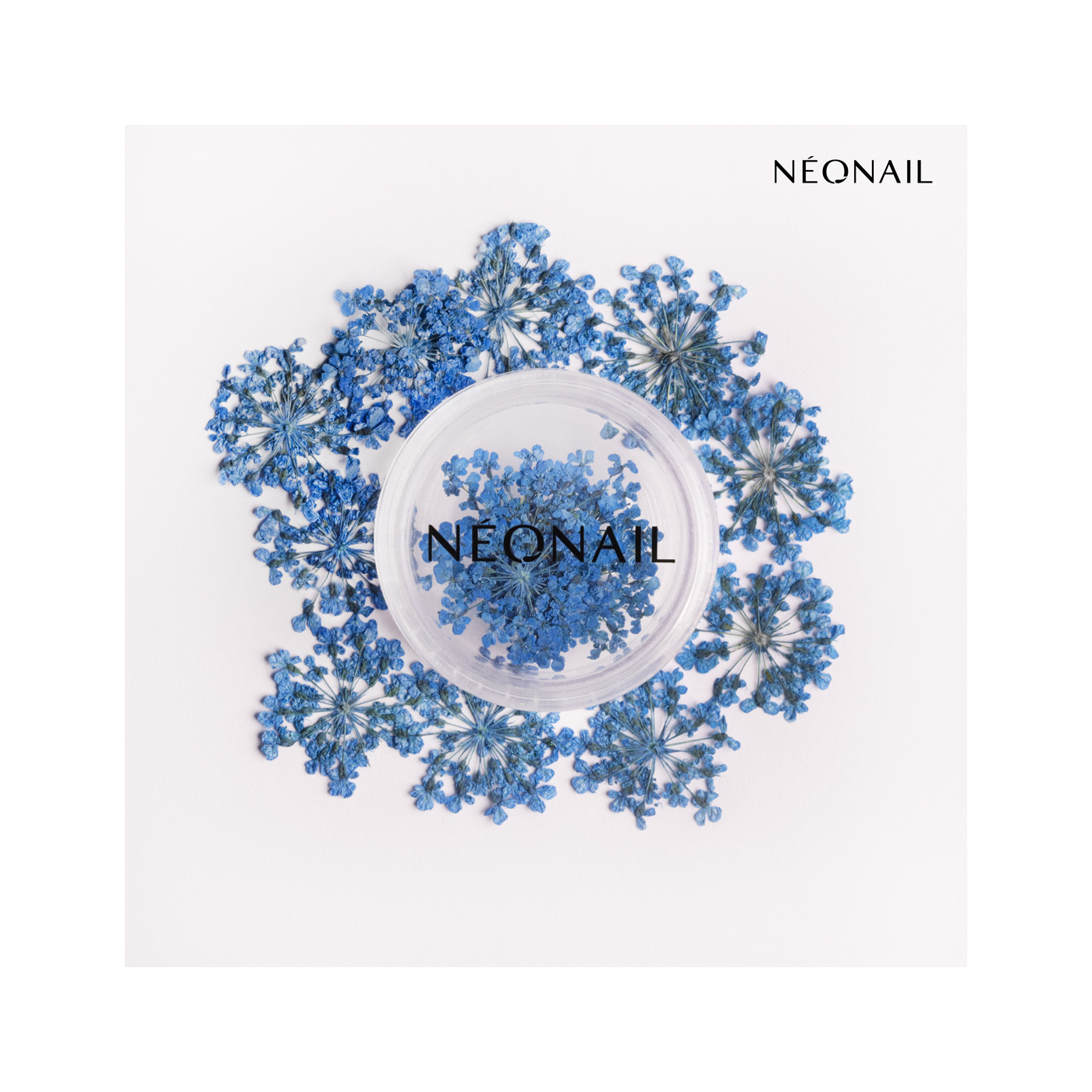 Květinová Dekorace 04| 11085